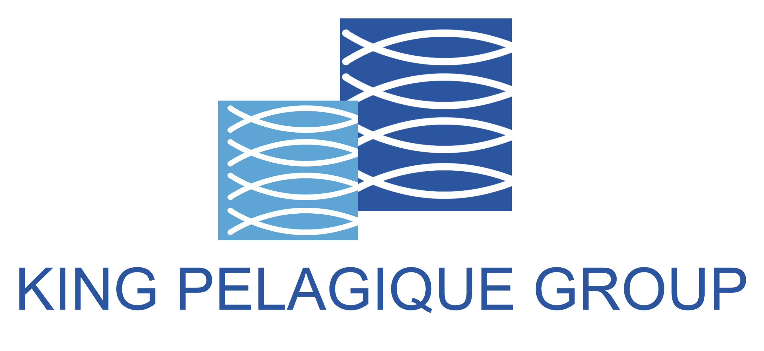 KING_PELAGIQUE_GROUP